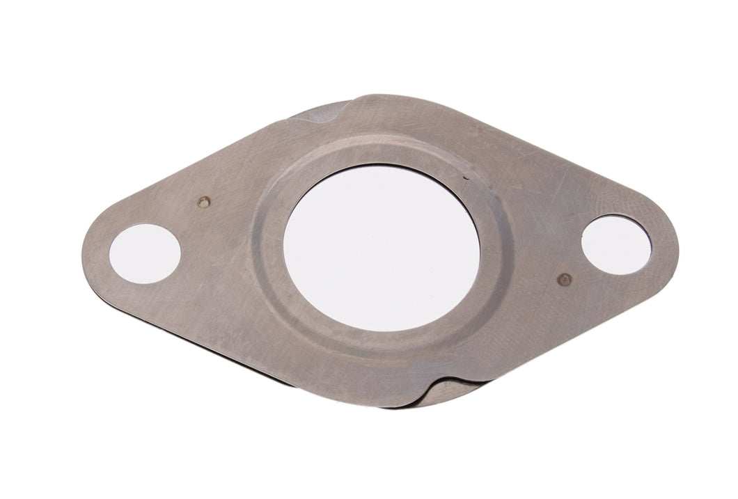 EGR VALVE GASKET | GSK-167