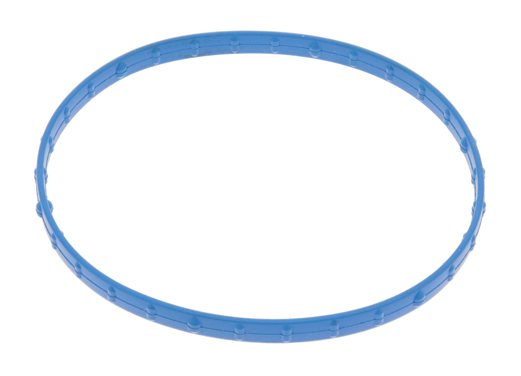 EGR VALVE GASKET | GSK-303