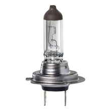 Load image into Gallery viewer, H7 HALOGEN GLOBE 12V 55W PX26D LONG LIFE | IGL2160BL
