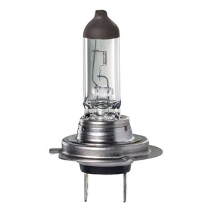 H7 HALOGEN GLOBE 12V 55W PX26D LONG LIFE | IGL2160BL