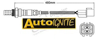 EXHAUST GAS OXYGEN SENSOR | EGO-847