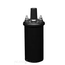 IGNITION COIL | BIC290