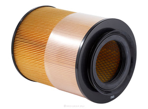 RYCO AIR FILTER | A1387